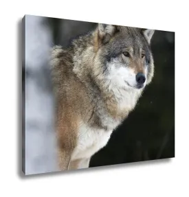 Gallery Wrapped Canvas, Wolf In The Cold Winter